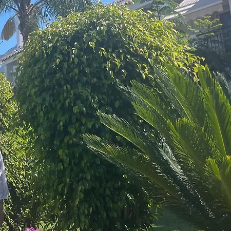 Urb. Naranjos De Marbella, Manzana 3, Сasa de vacaciones *